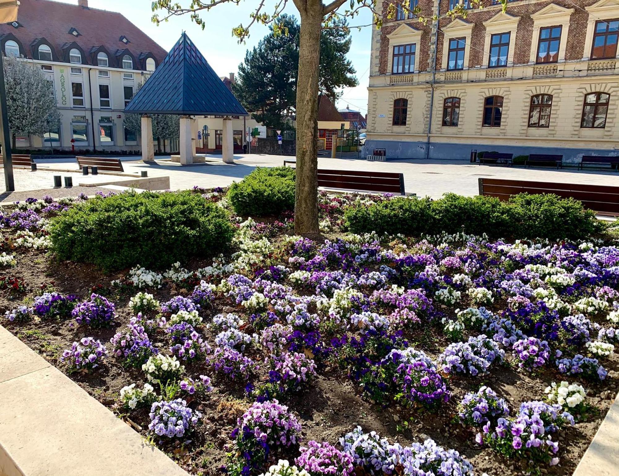 Ciao Lilla Apartman Keszthely Extérieur photo